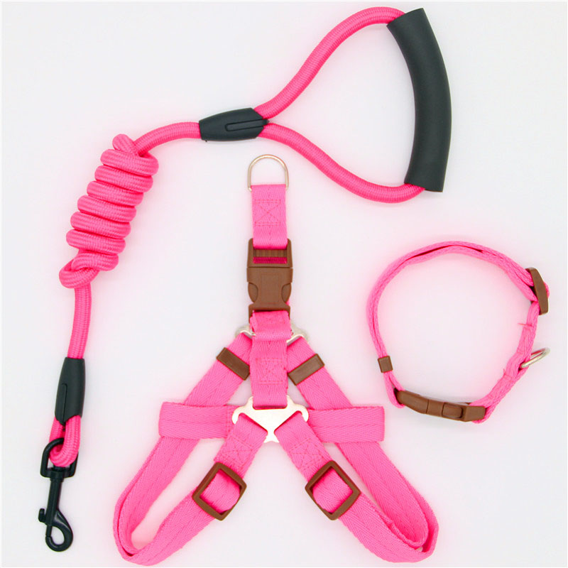 Pet Supplies Simple Dog Leash