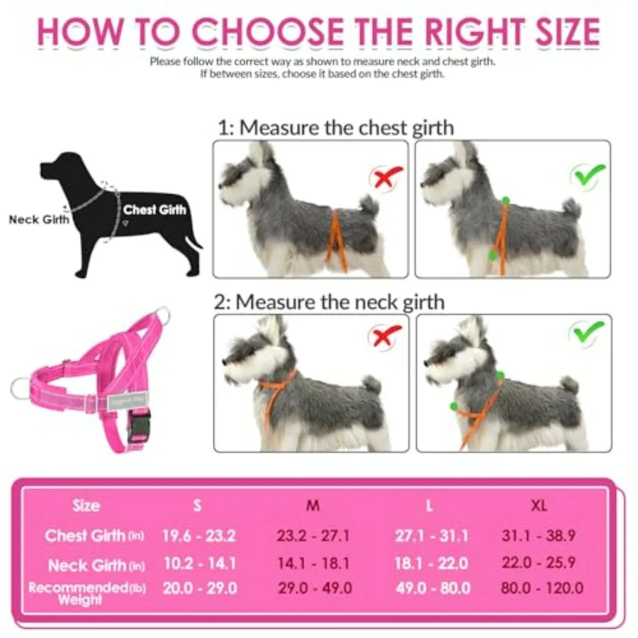 No Pull Dog Harness/ Leash Set
