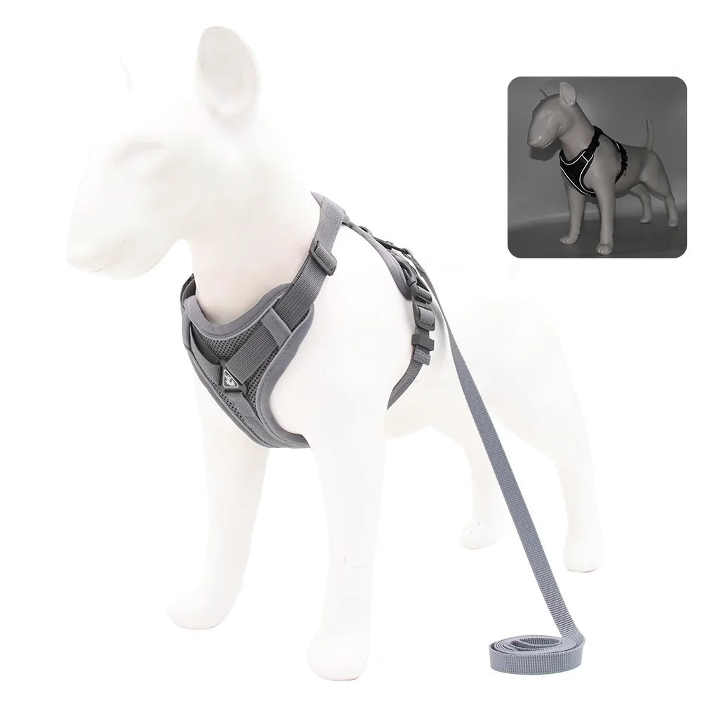 Harness and Leash for Small Dog