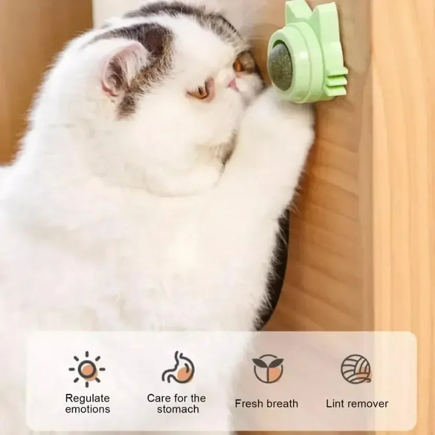 Lickable Chew Toy Catnip Balls for Cats