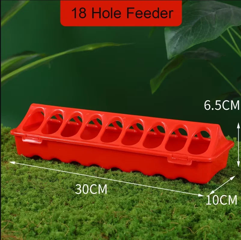 Poultry Pigeon Thickened Feeder and Water Dispense