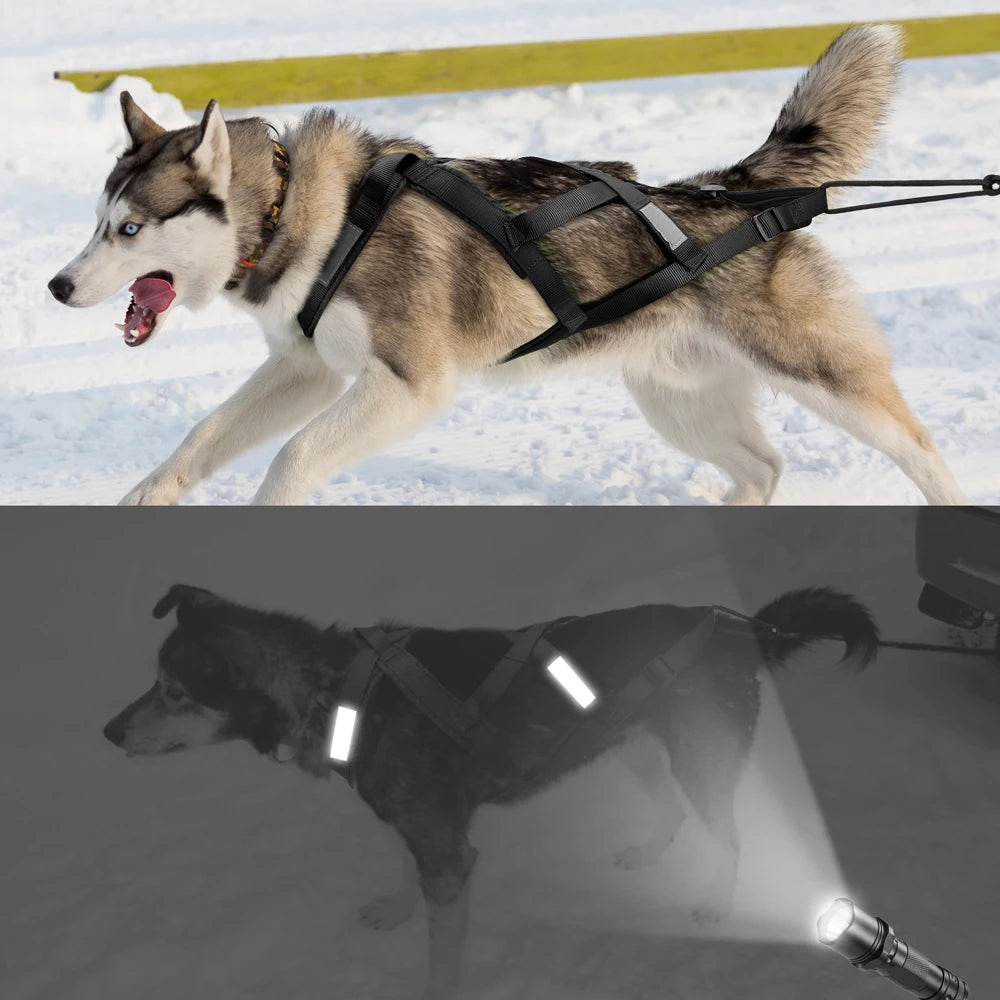 Dog Sledding Harness Reflective Weight Pulling Vest