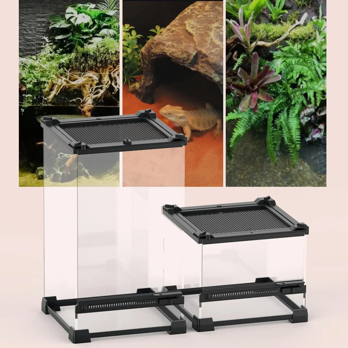 20 x 20 x 30 cm Reptile Feeding Box – Glass Terrarium
