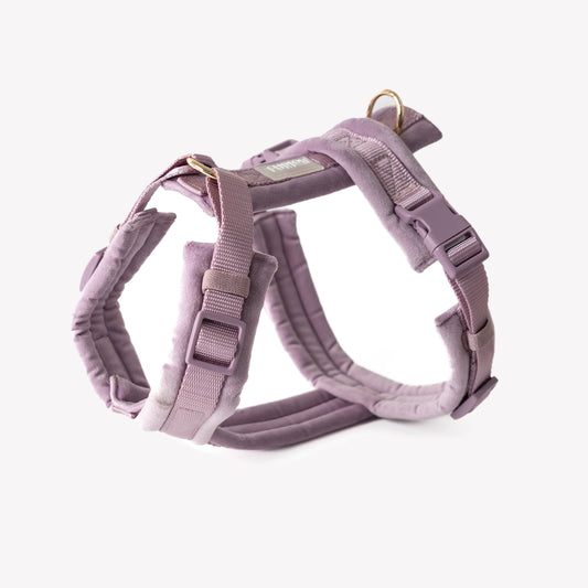 Lilac - Velvet Dog Harness