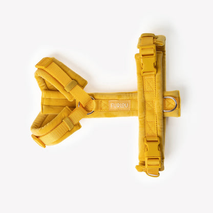 Yellow - Velvet Dog Harness