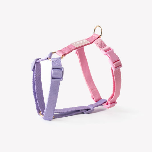 Lavender and Pink - Dog Harness