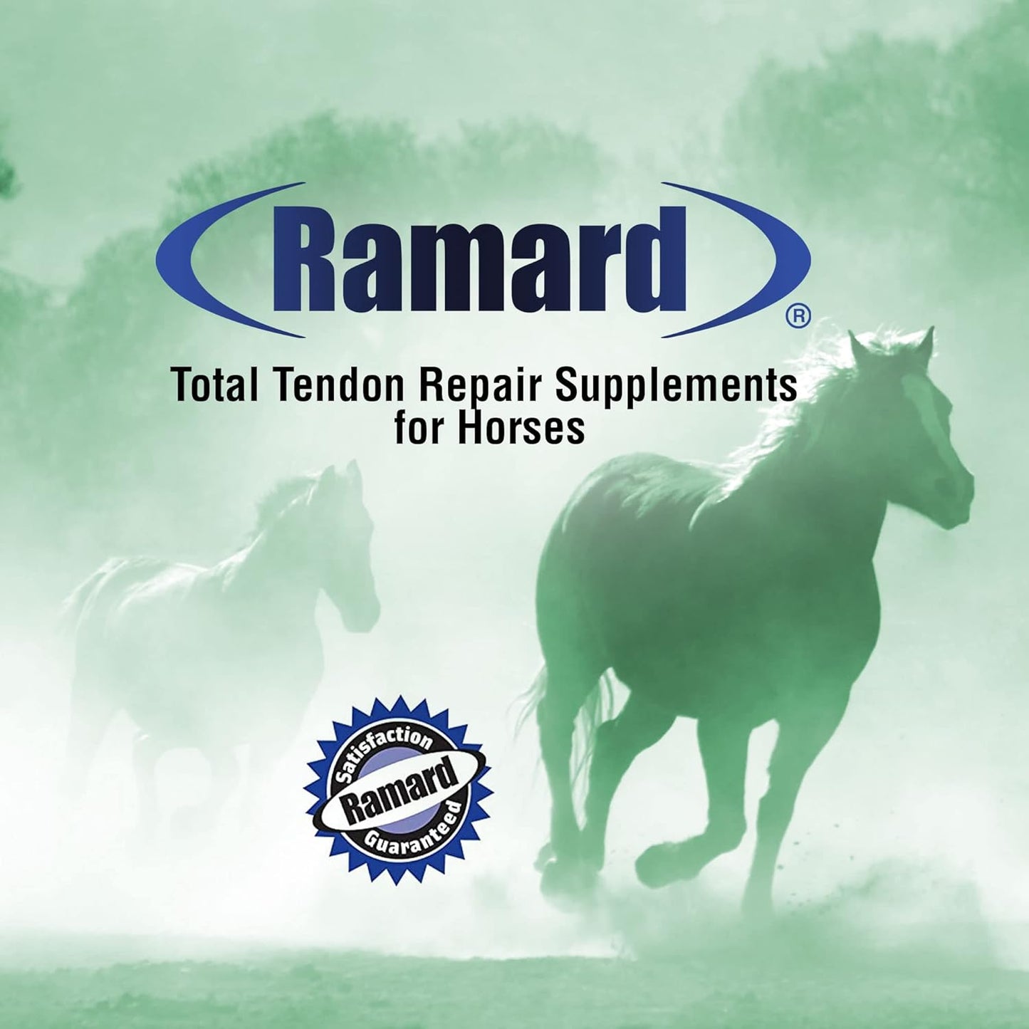 Ramard Total Tendon Repair 1.12lb 30-Day Horse Tendon Ligament Support TendoFit