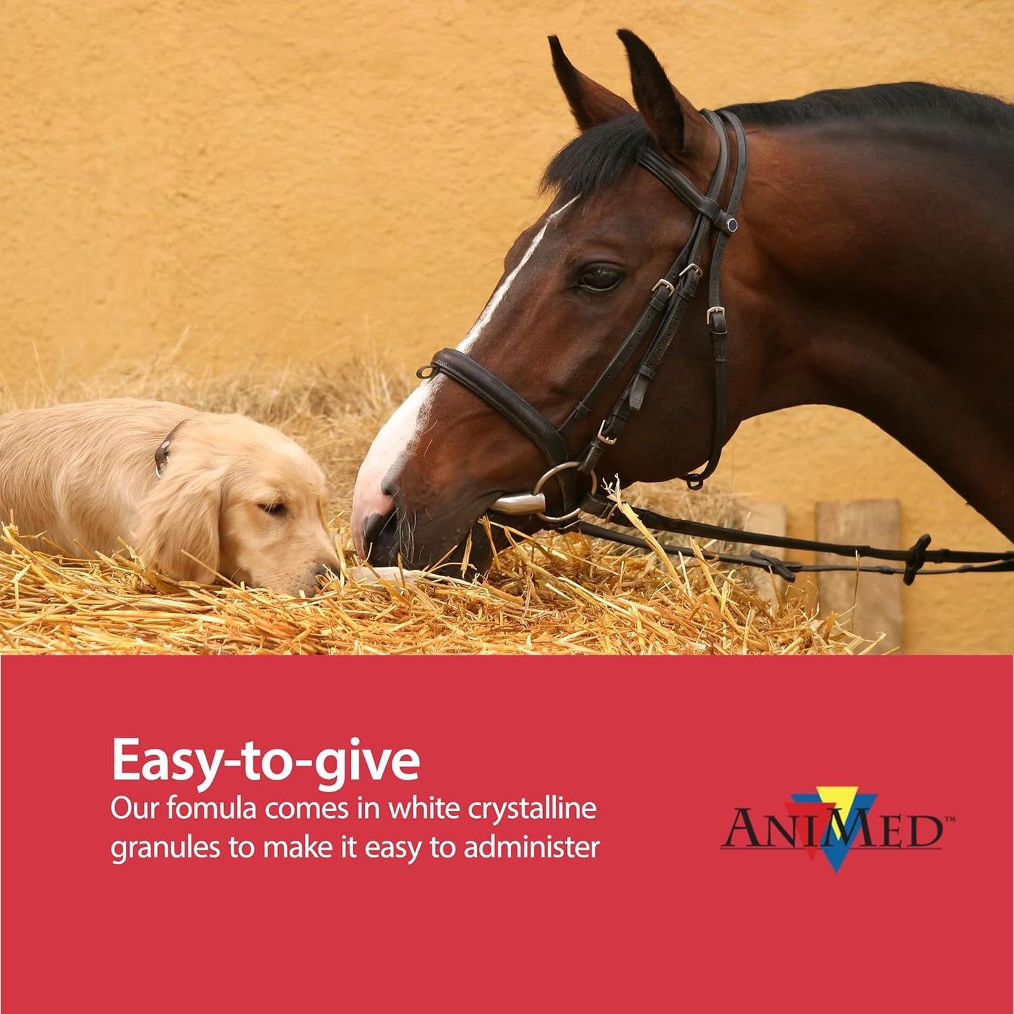 AniMed Pure MSM Horse Joint Supplement Horse Care Support USA Made 16 oz.