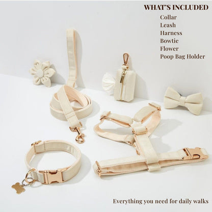 Milky White Velvet Set