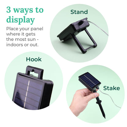 Solar LED Lights