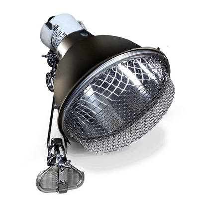 Arcadia Ceramic Reflector Clamp Lamp, Graphite