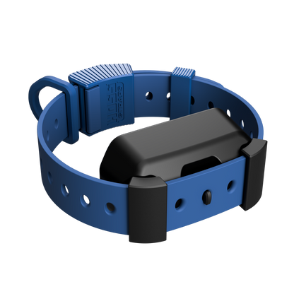 Training Collar Setup