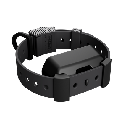 Training Collar Setup