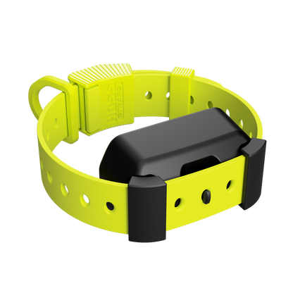 Training Collar Setup