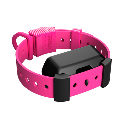 Training Collar Setup