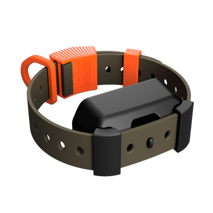 Training Collar Setup