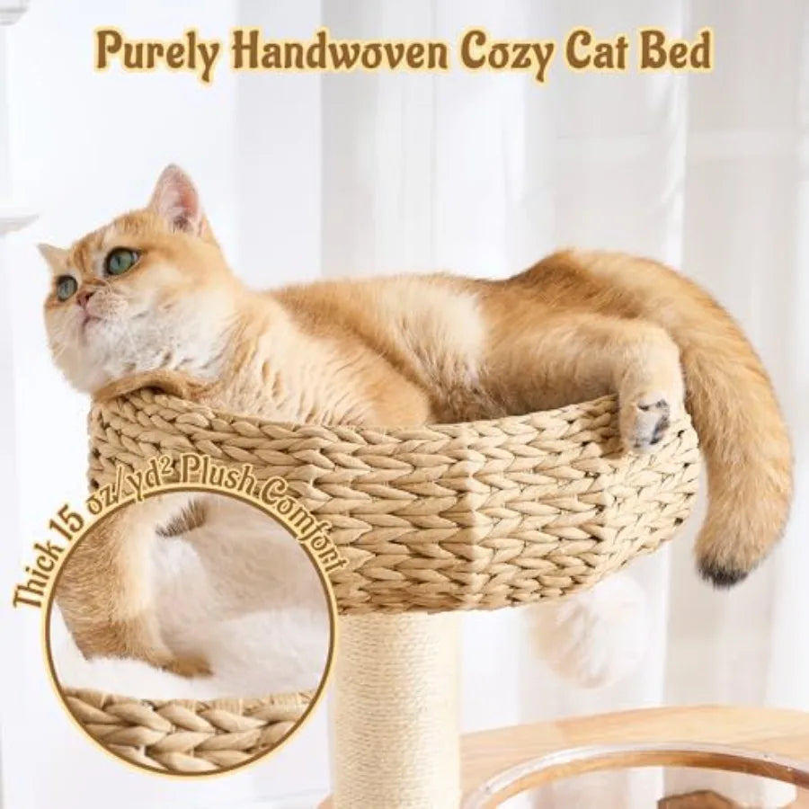 Cat Tree for Large Indoor Cats 38in H