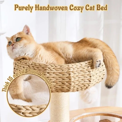 Cat Tree for Large Indoor Cats 38in H