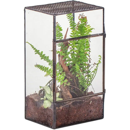 Black Glass Terrarium with Door and Mesh