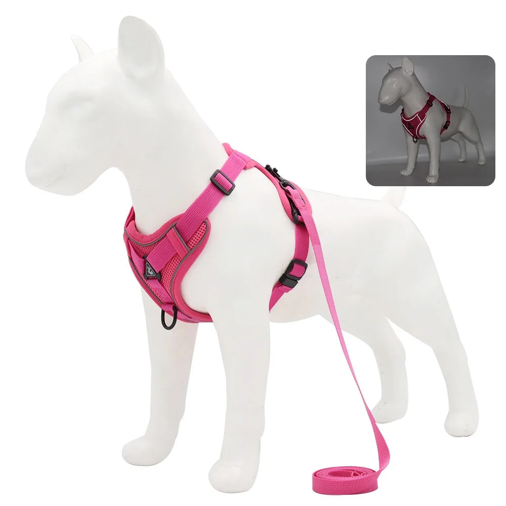 Harness and Leash for Small Dog