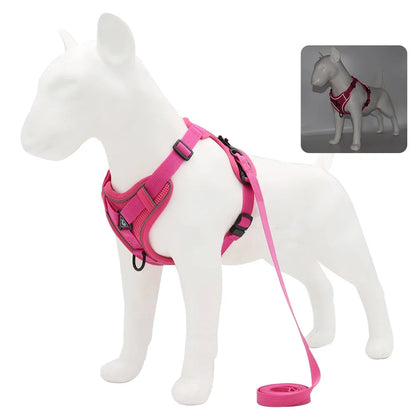 Harness and Leash for Small Dog