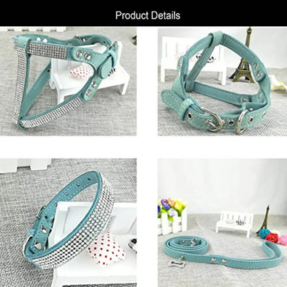 Dog Collar and Harness and Lead Sets
