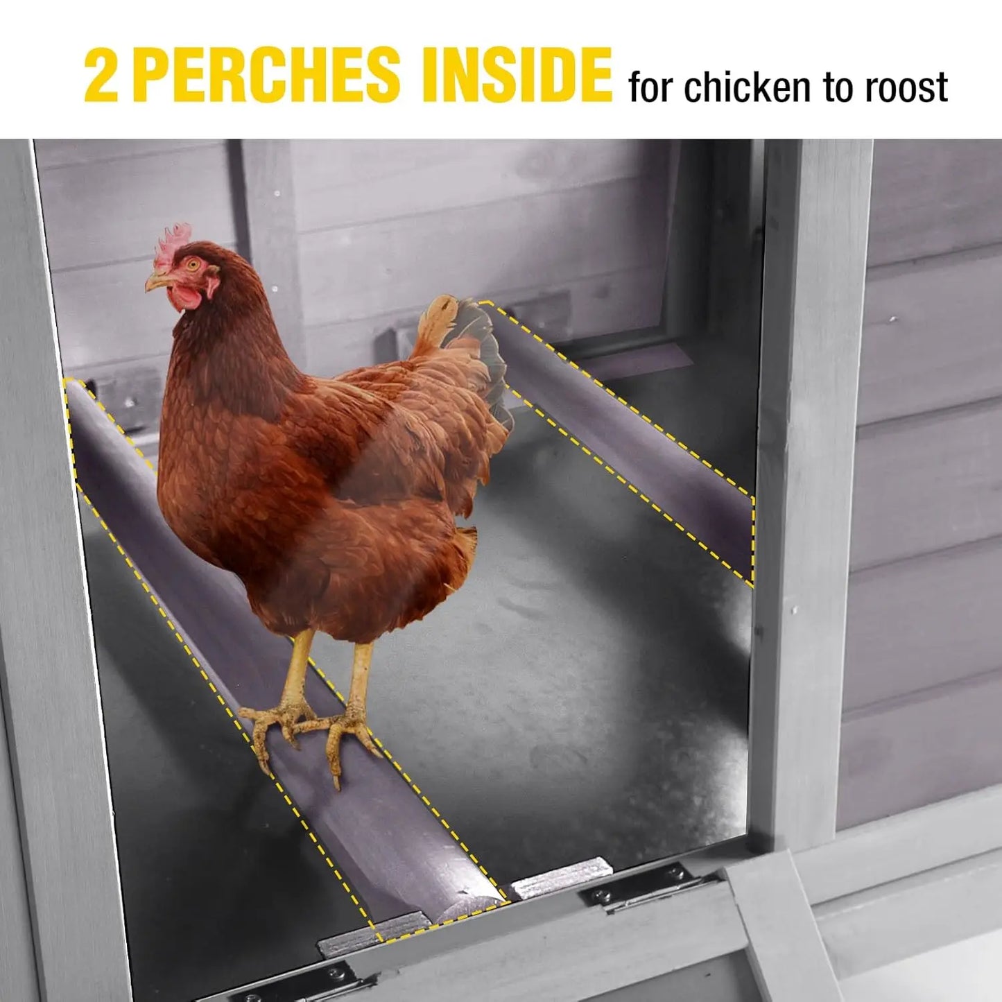 Chicken Coop for 2 Chickens/Ducks