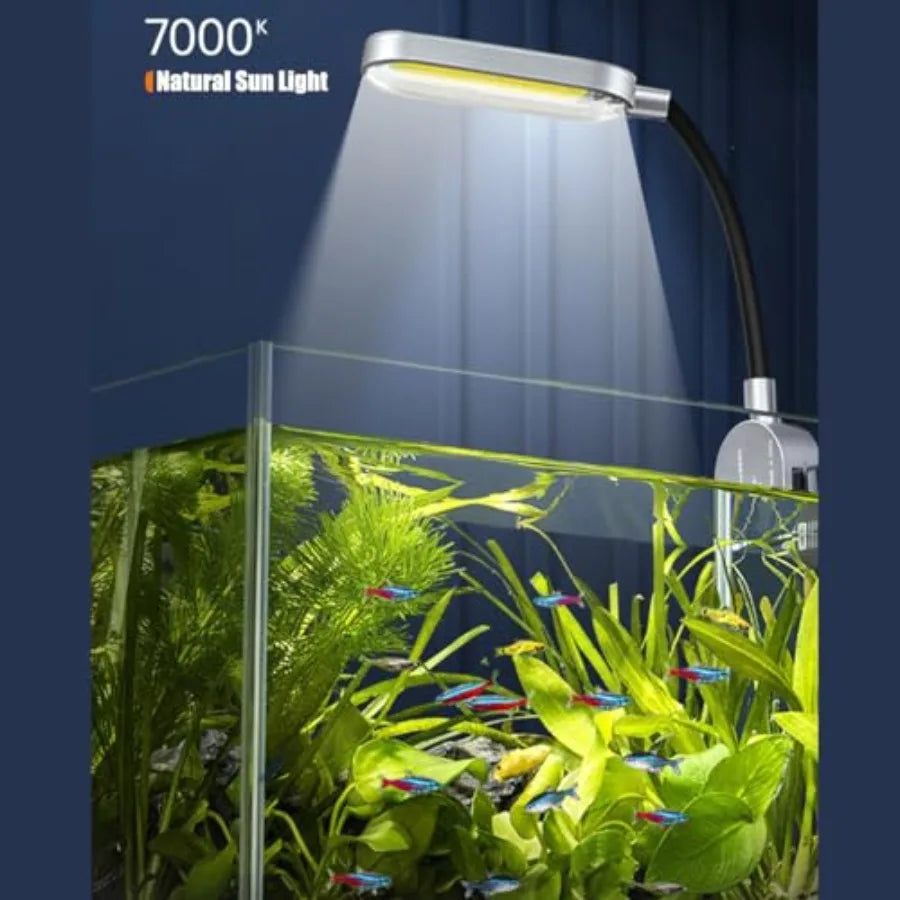 1.5 Gallon Fish Tank Starter Kits,
