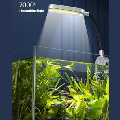 1.5 Gallon Fish Tank Starter Kits,