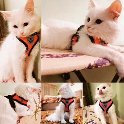 Adjustable Mesh Pet Harness with Leash, Polyester Vest Type Walking Strap for Small Medium Cats Dogs