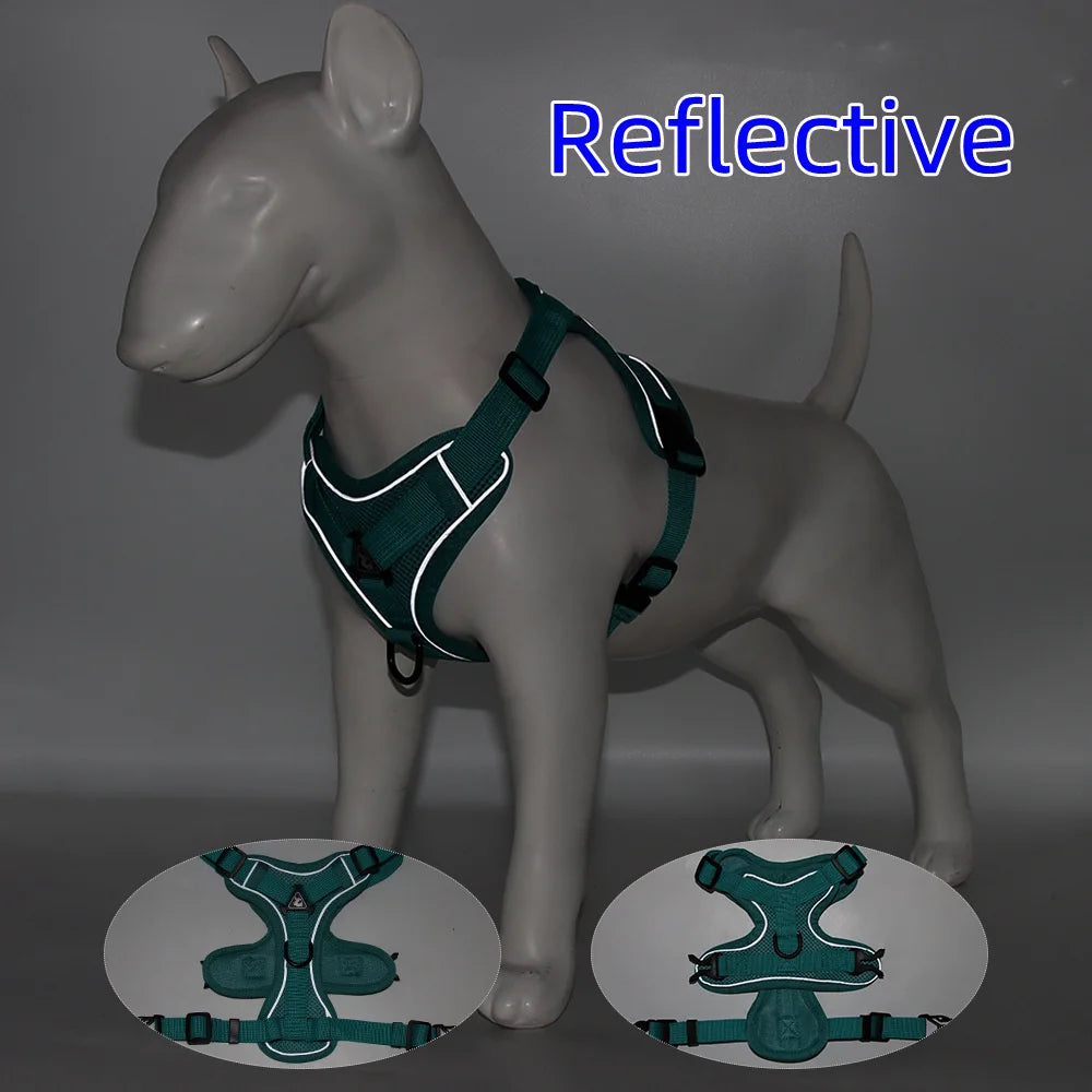 Harness and Leash for Small Dog
