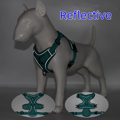 Harness and Leash for Small Dog
