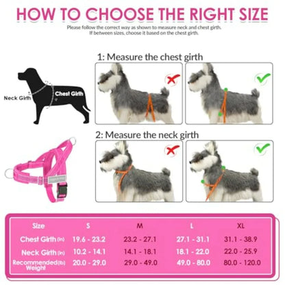 No Pull Dog Harness/ Leash Set