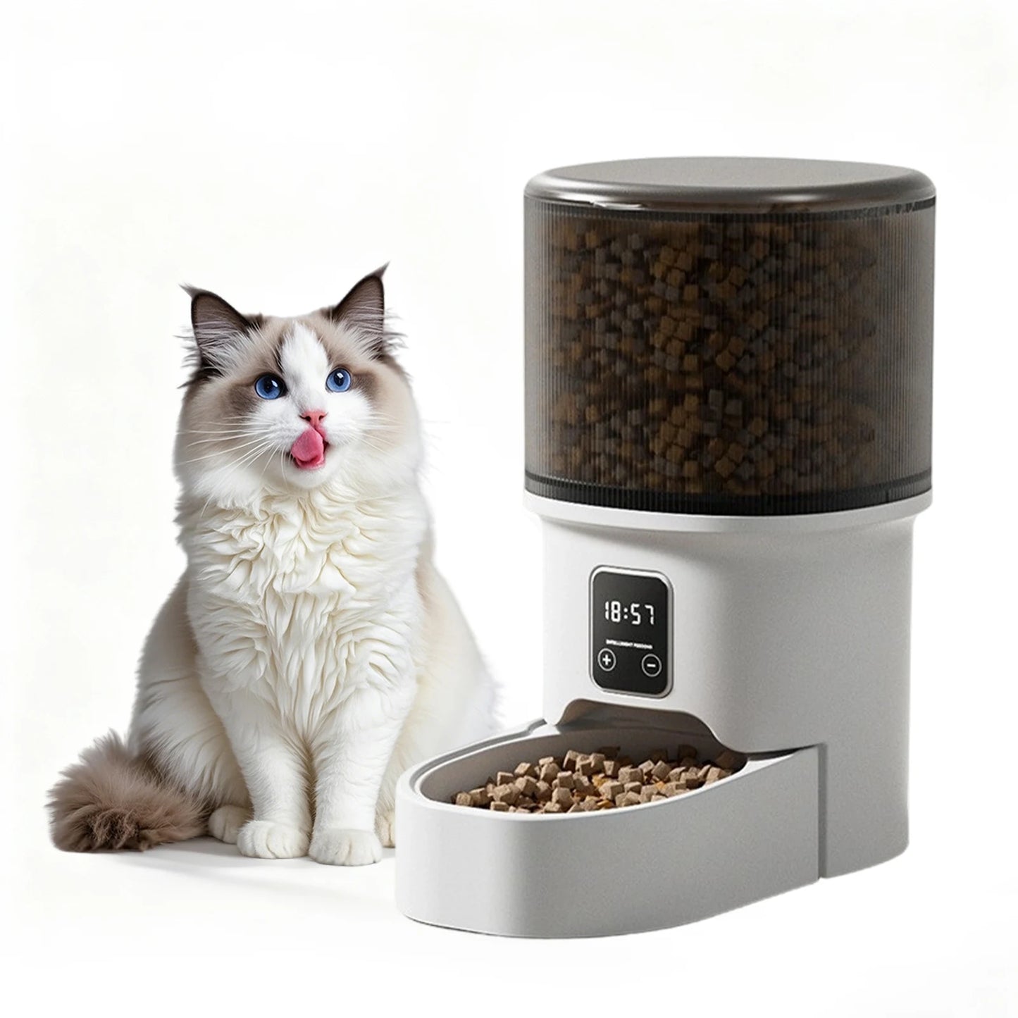 Automatic Cat Feeder with Timer Up to 6 Meals Per Day