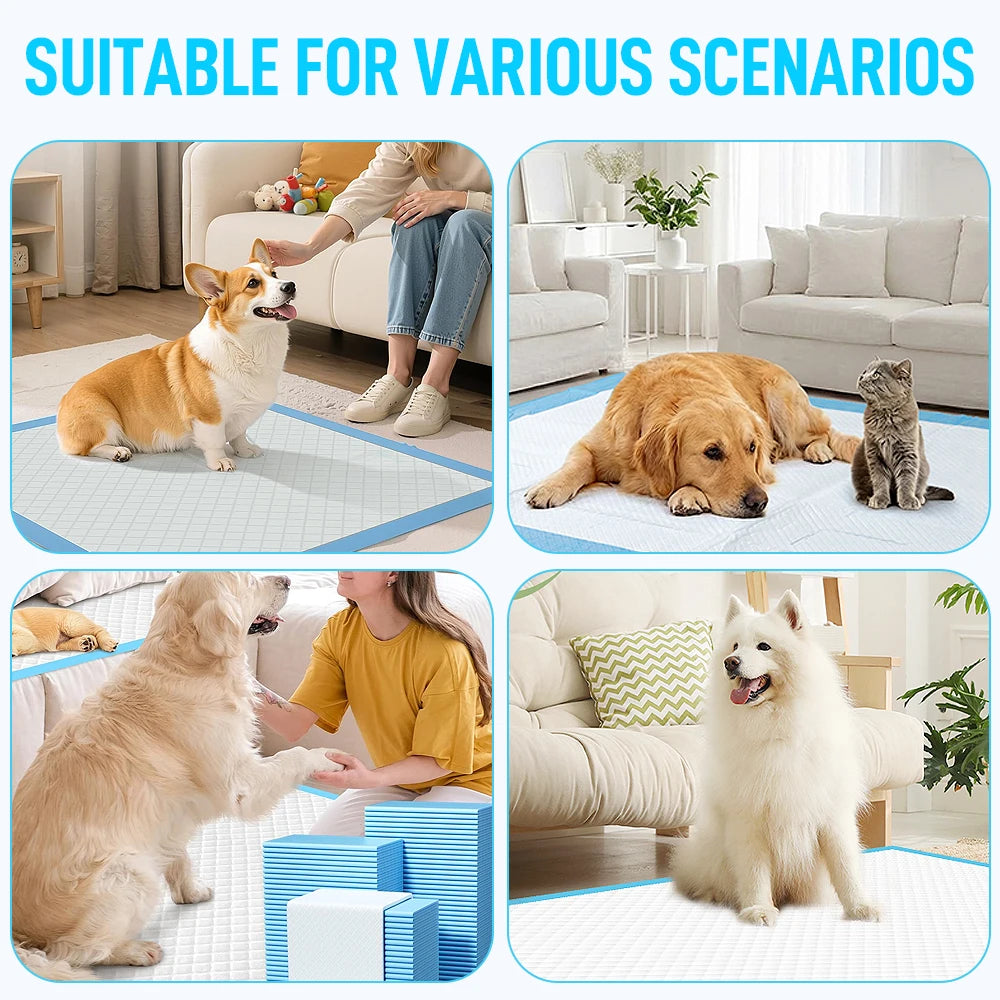 100pcs Super Absorbent Pet Training Pads,