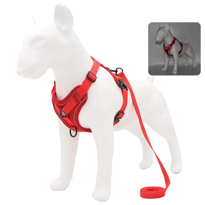 Harness and Leash for Small Dog