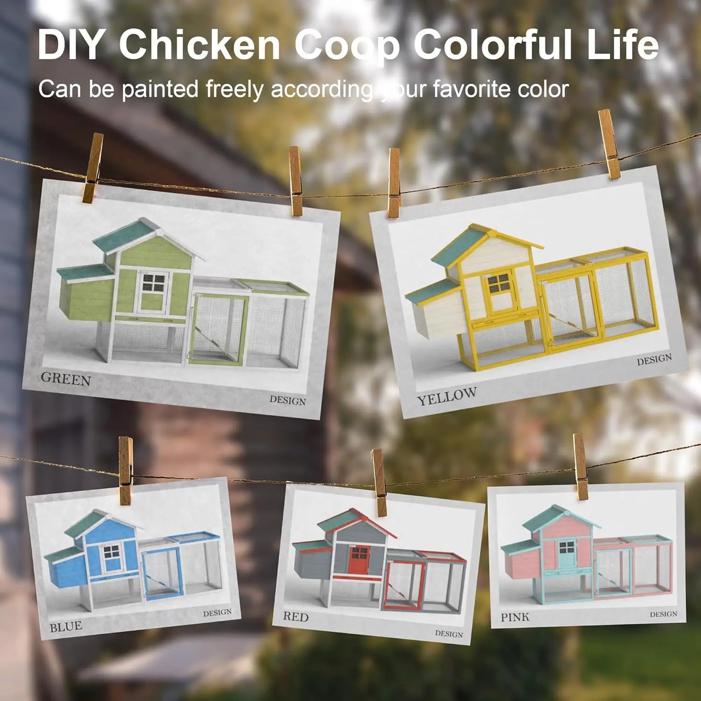 Outdoor Chicken Coop for 2-4 Chickens