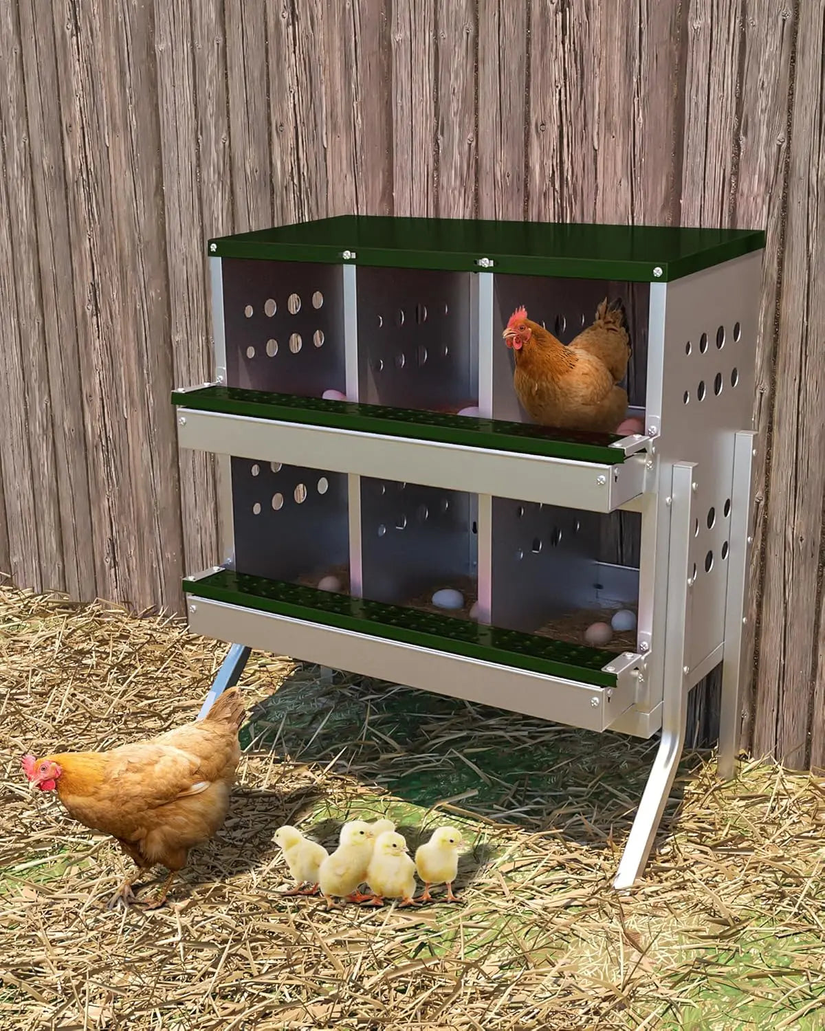 Metal Chicken Coop Nesting Box Roll Out Egg