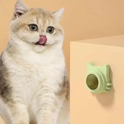 Lickable Chew Toy Catnip Balls for Cats