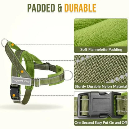 No Pull Dog Harness and Leash Set