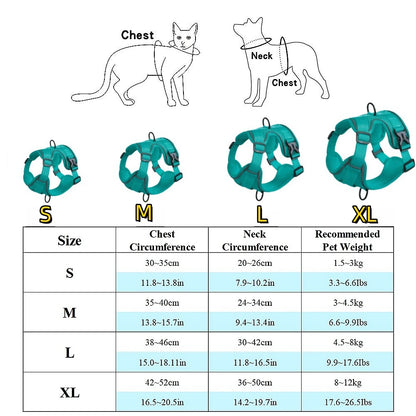 Harness and Leash for Small Dog