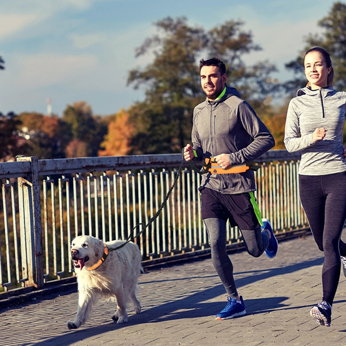 Hands Free Reflective Dog Leash Waist Bag Retractable