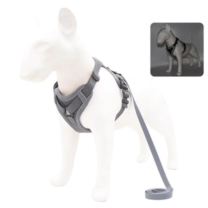 Harness and Leash for Small Dog