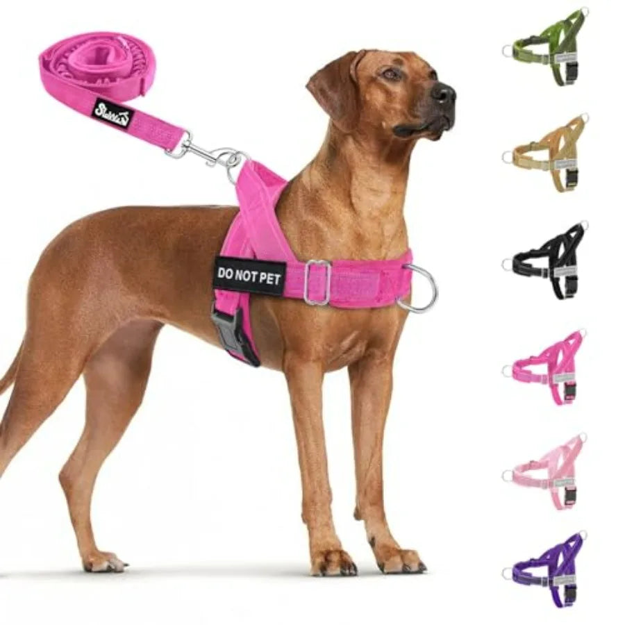 No Pull Dog Harness/ Leash Set