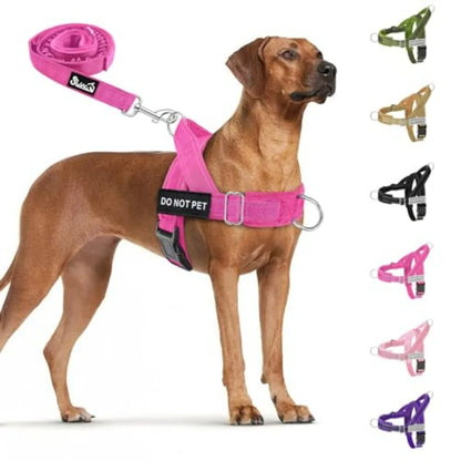 No Pull Dog Harness/ Leash Set