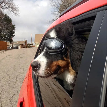 Dog Goggles for Small Breed Dog Sunglasses Windproof
