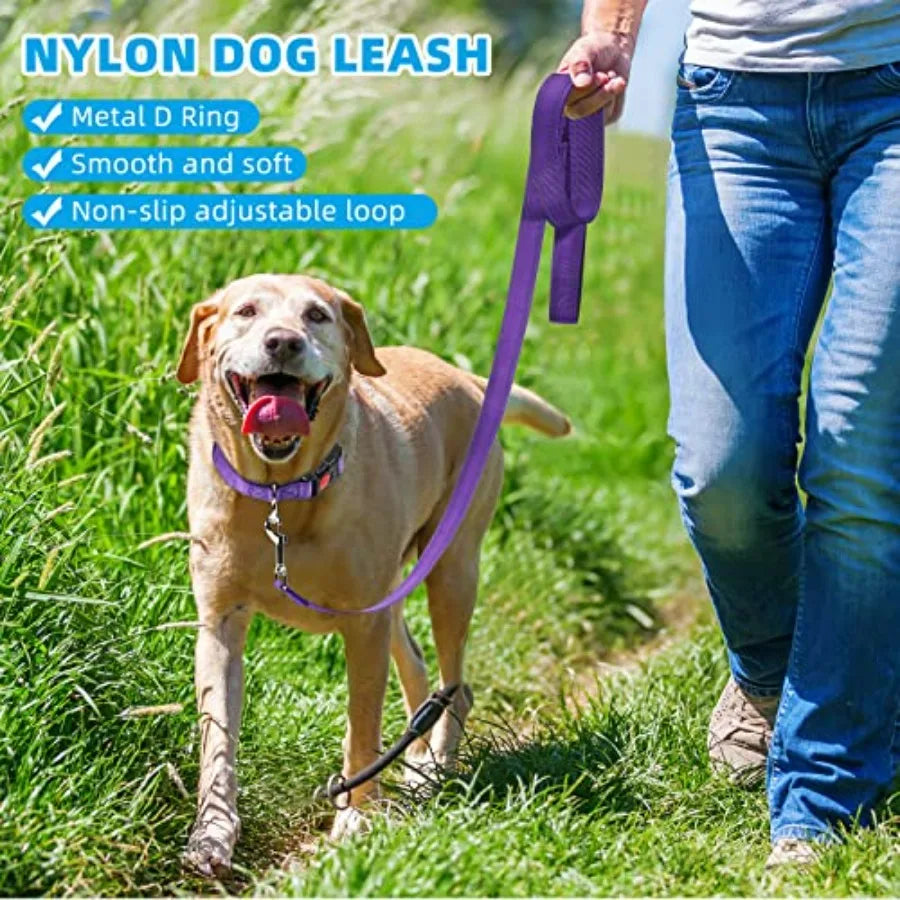 6 Sets Reflective Dog Leash and Collar Set, Nylon