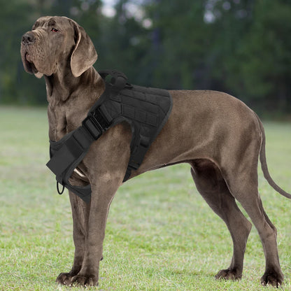 Tactical Dog Harness Collar And Leash Set
