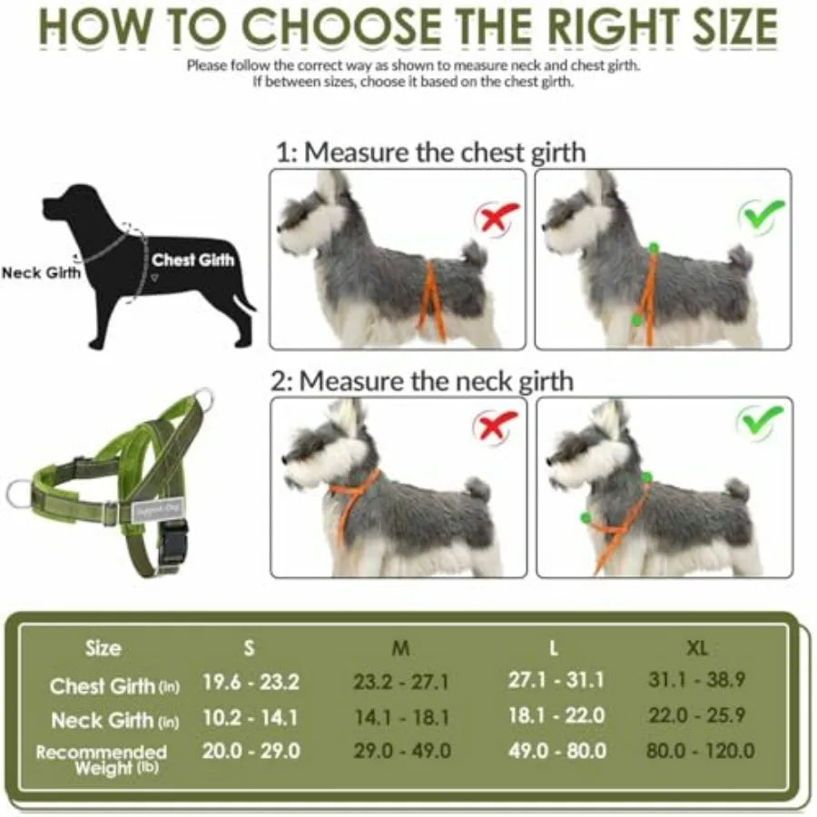 No Pull Dog Harness and Leash Set