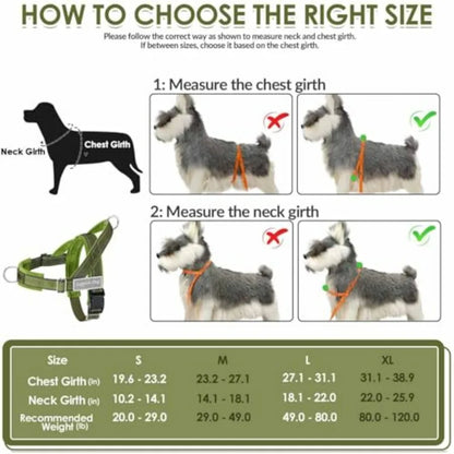 No Pull Dog Harness and Leash Set